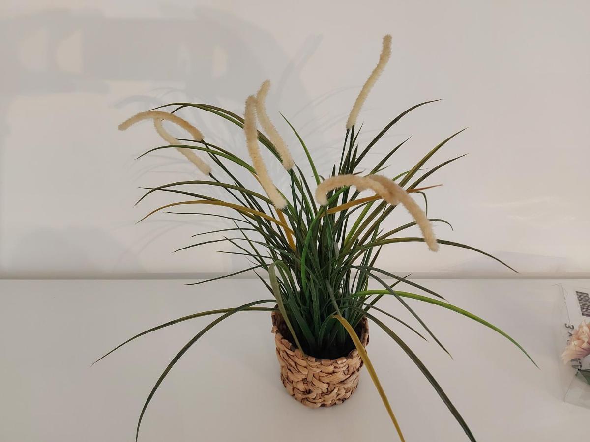 Garden Apartment 쾰른 외부 사진